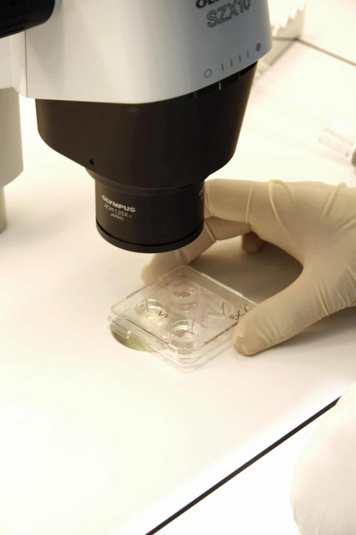 Φυσικός Κύκλος