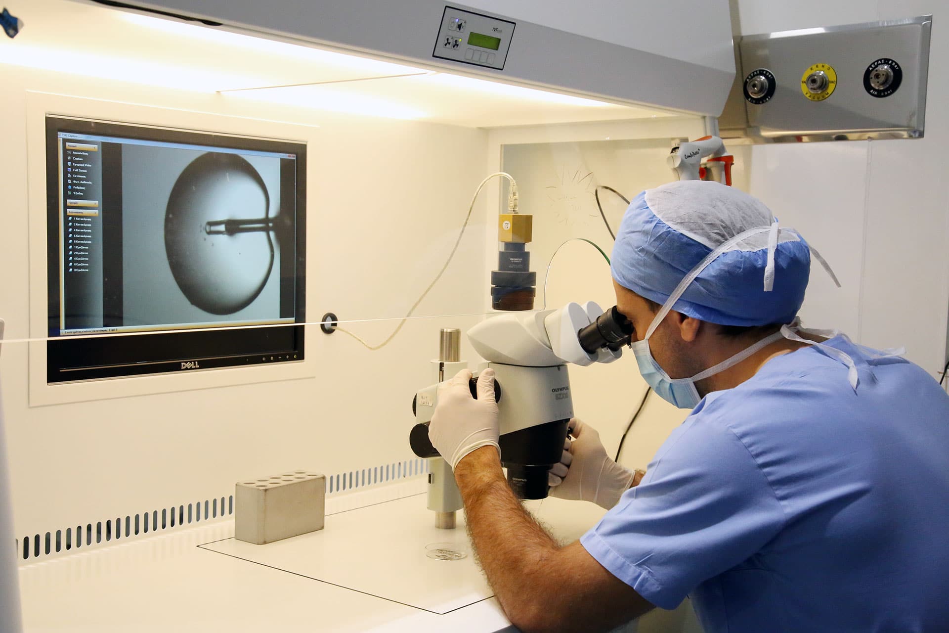 clinical embryologist