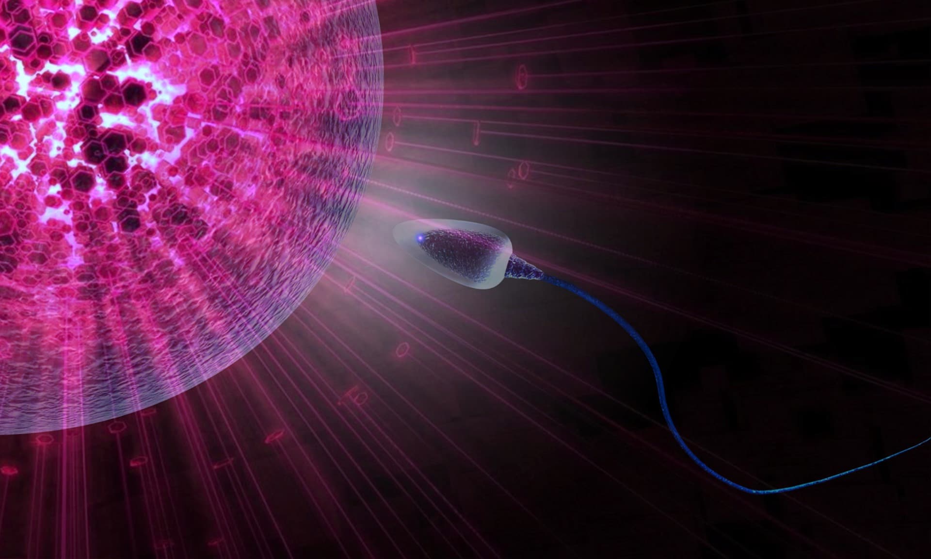 Μικρογονιμοποίηση