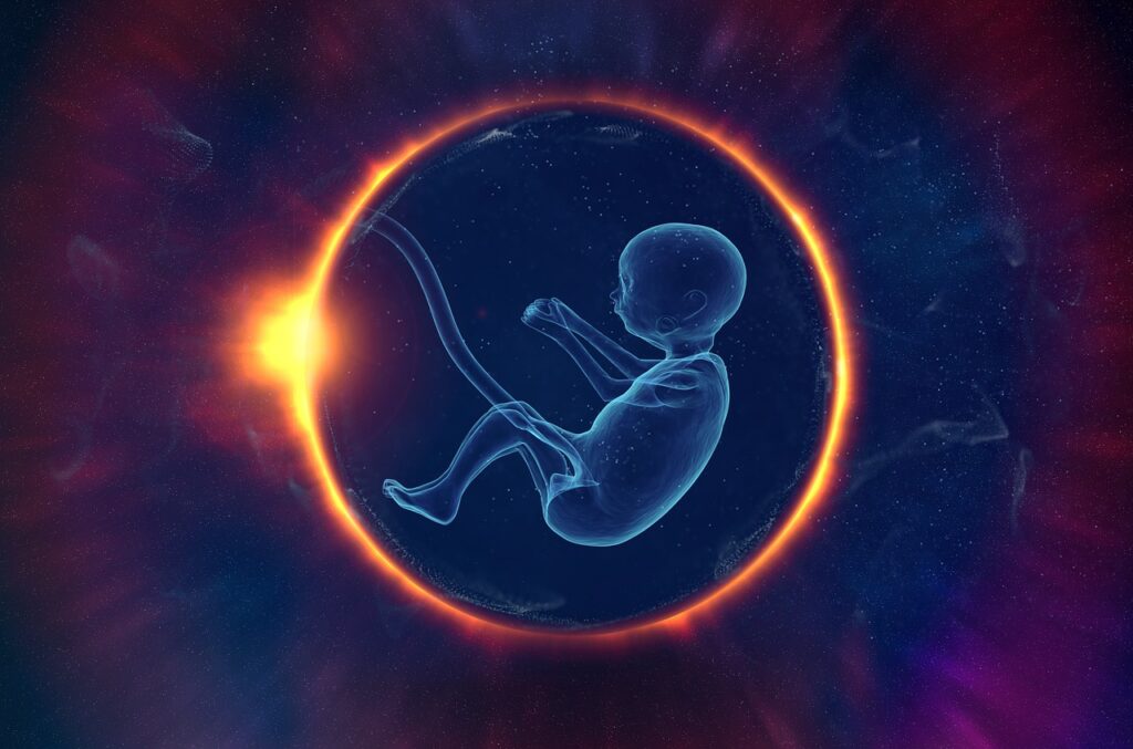 έμβρυο-ζωή-σε-εξέλιξη-τα-νέα-της-εμβρυολογίας-εμβρυολόγος-δημήτρης-παπαδόπουλος